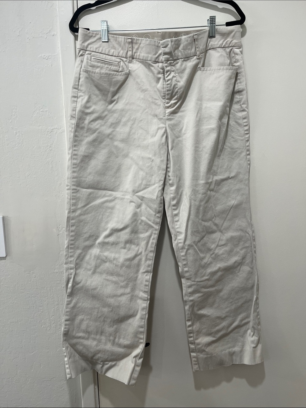 JM Collection Light Beige Chino Pants